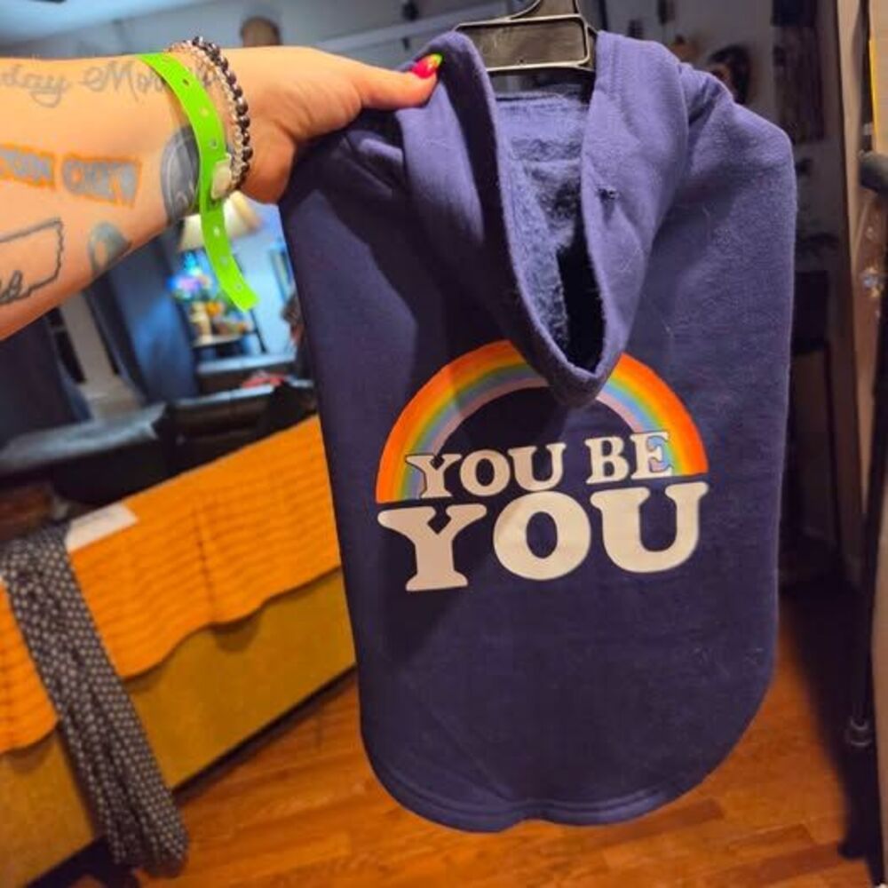 Petco 'You Be You' Rainbow Dog Hoodie, Size Large